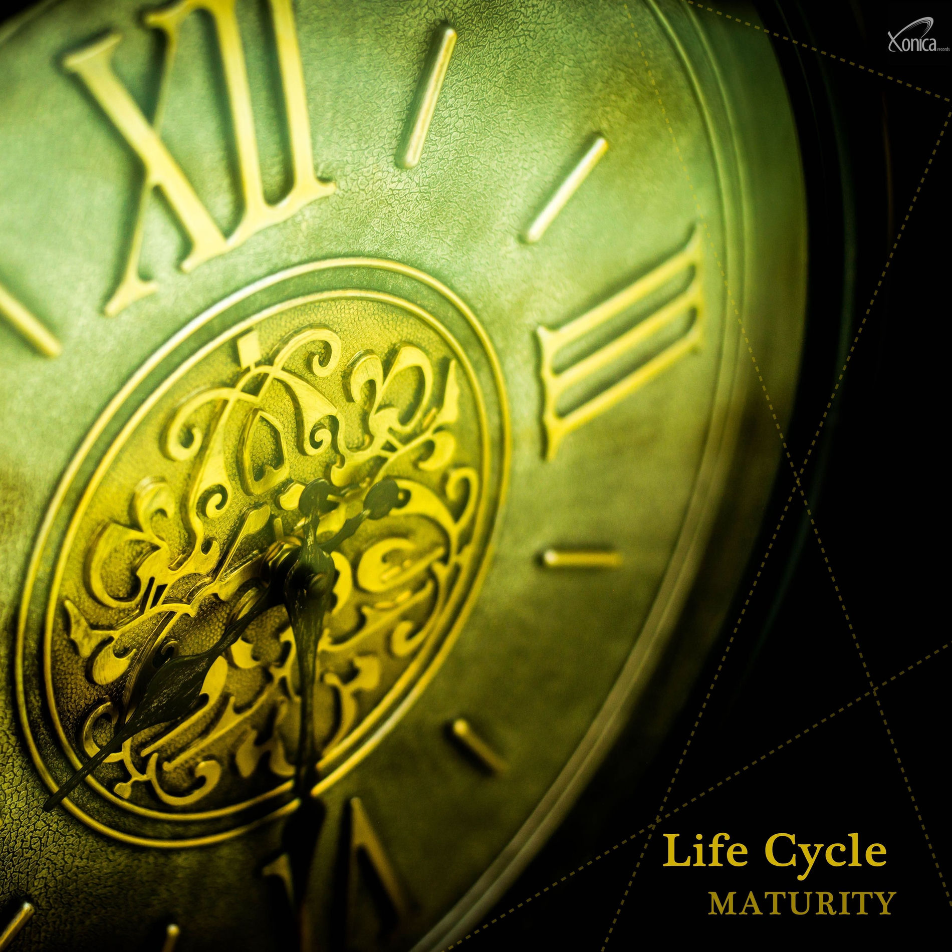 Album cover of Life Cycle - Maturity