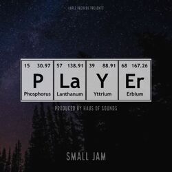 Cover of Player