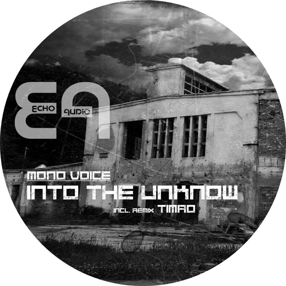 Picture of Into the Unknow