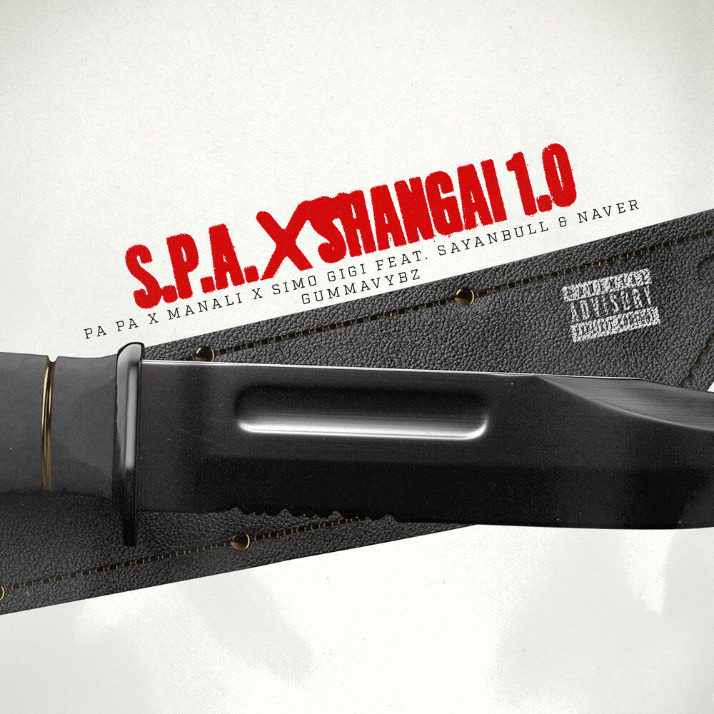 Picture of S.P.A. x Shangai 1.0