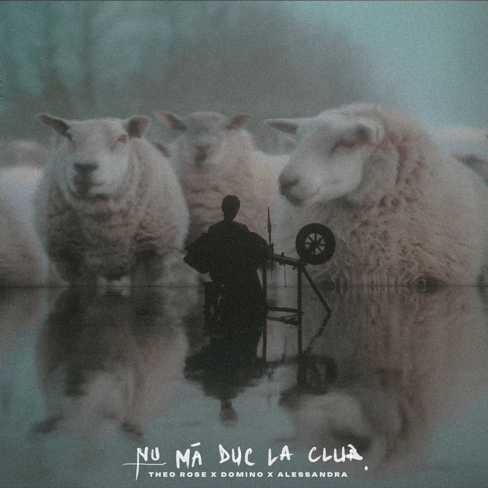 Album cover of NU MA DUC LA CLUB