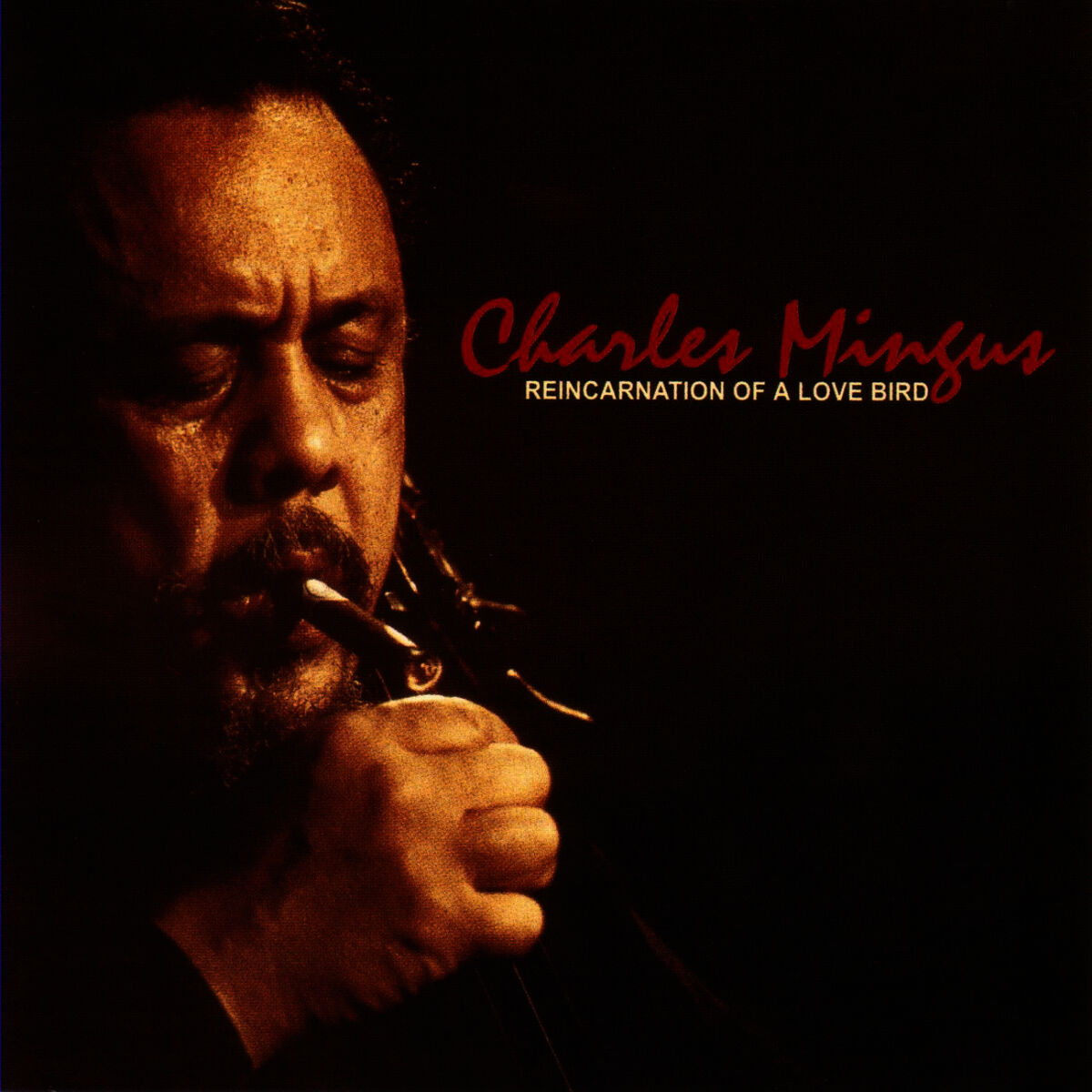 Album cover of Wrap Your Troubles In Dreams