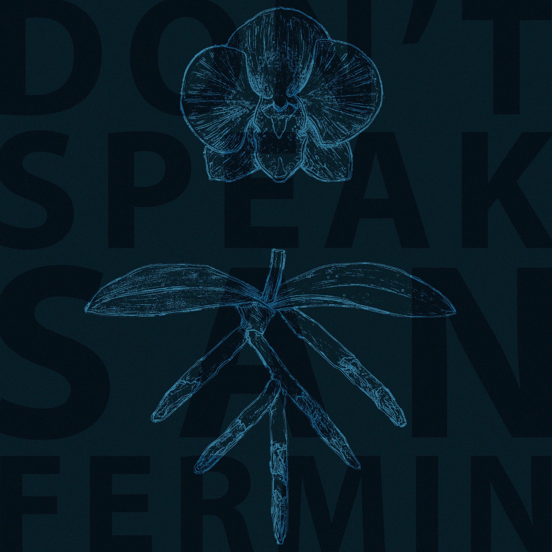 Album cover of Don't Speak