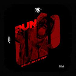 Cover of Run Up
