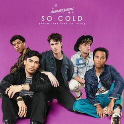 Cover of So Cold