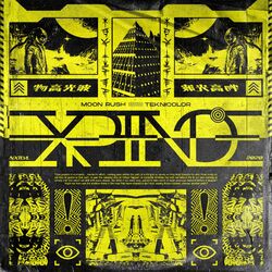 Cover of Experience