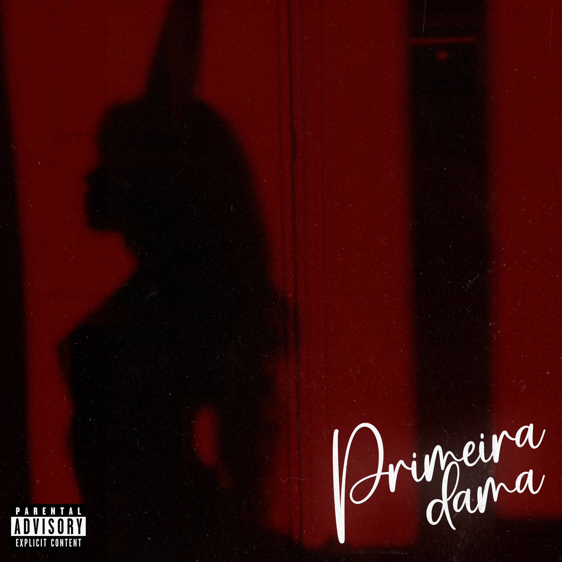 Album cover of Primeira Dama