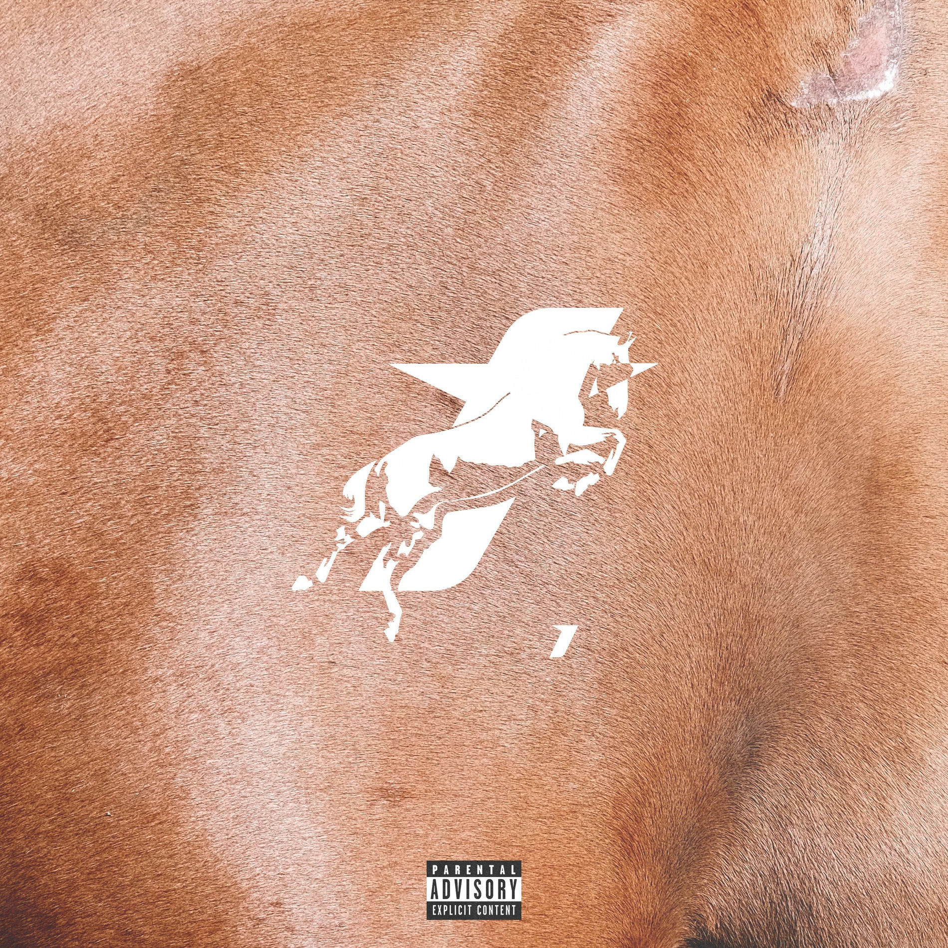 Album cover of taycan v1