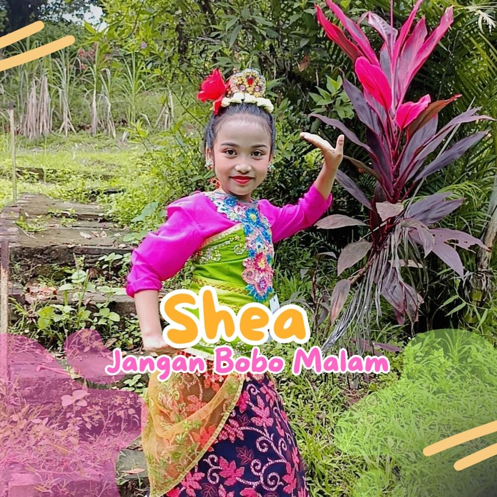 Picture of JANGAN BOBO MALAM