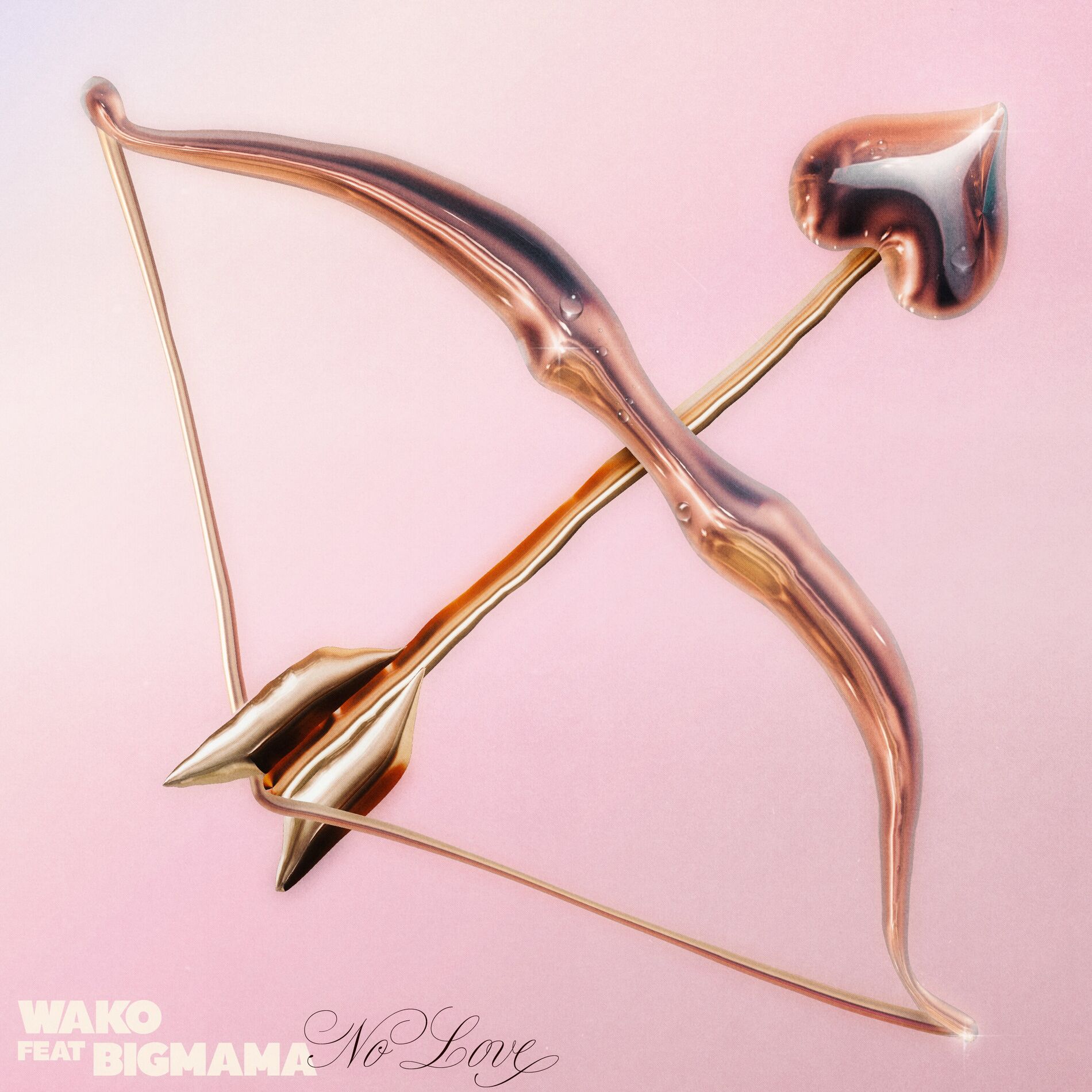 Album cover of No Love