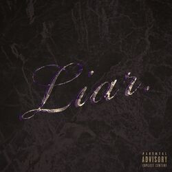 Cover of Liar