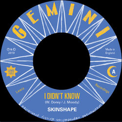 Cover of I Didn't Know (Extended Mix)