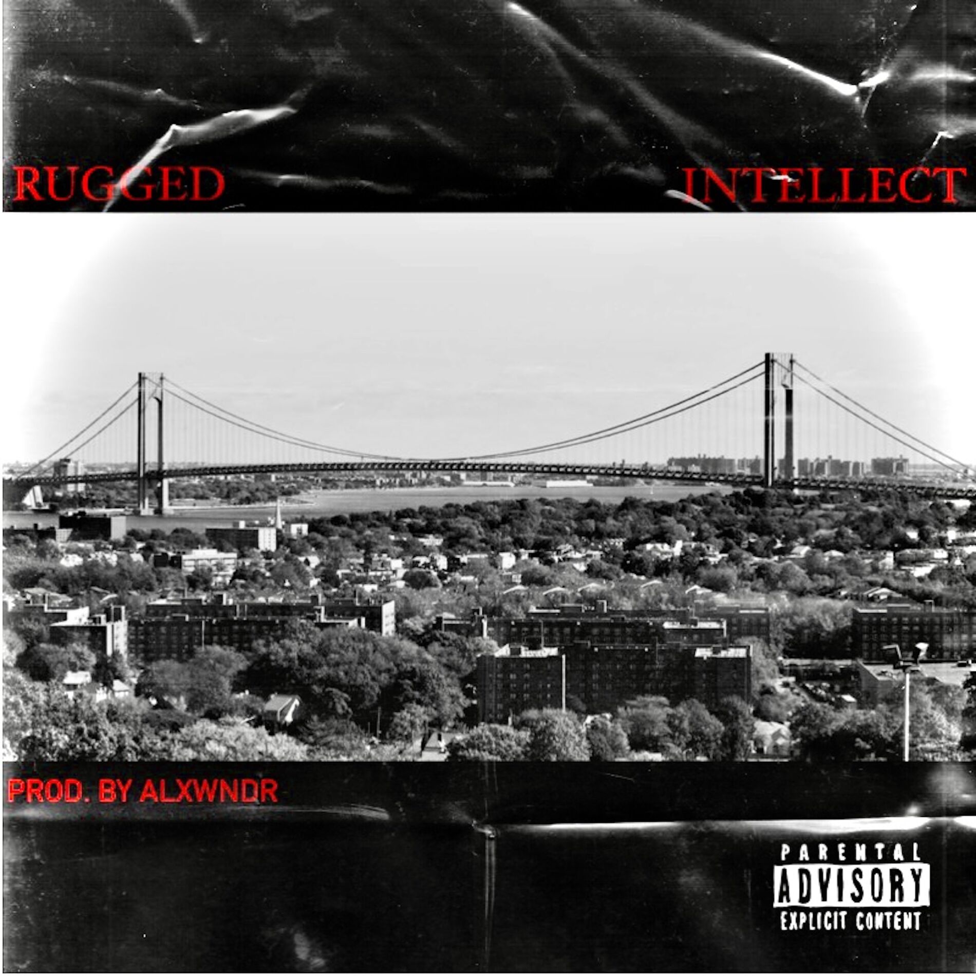Album cover of Rugged Intellect