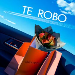 Cover of Te robo