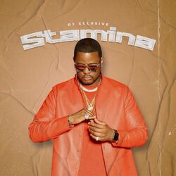 Cover of Stamina