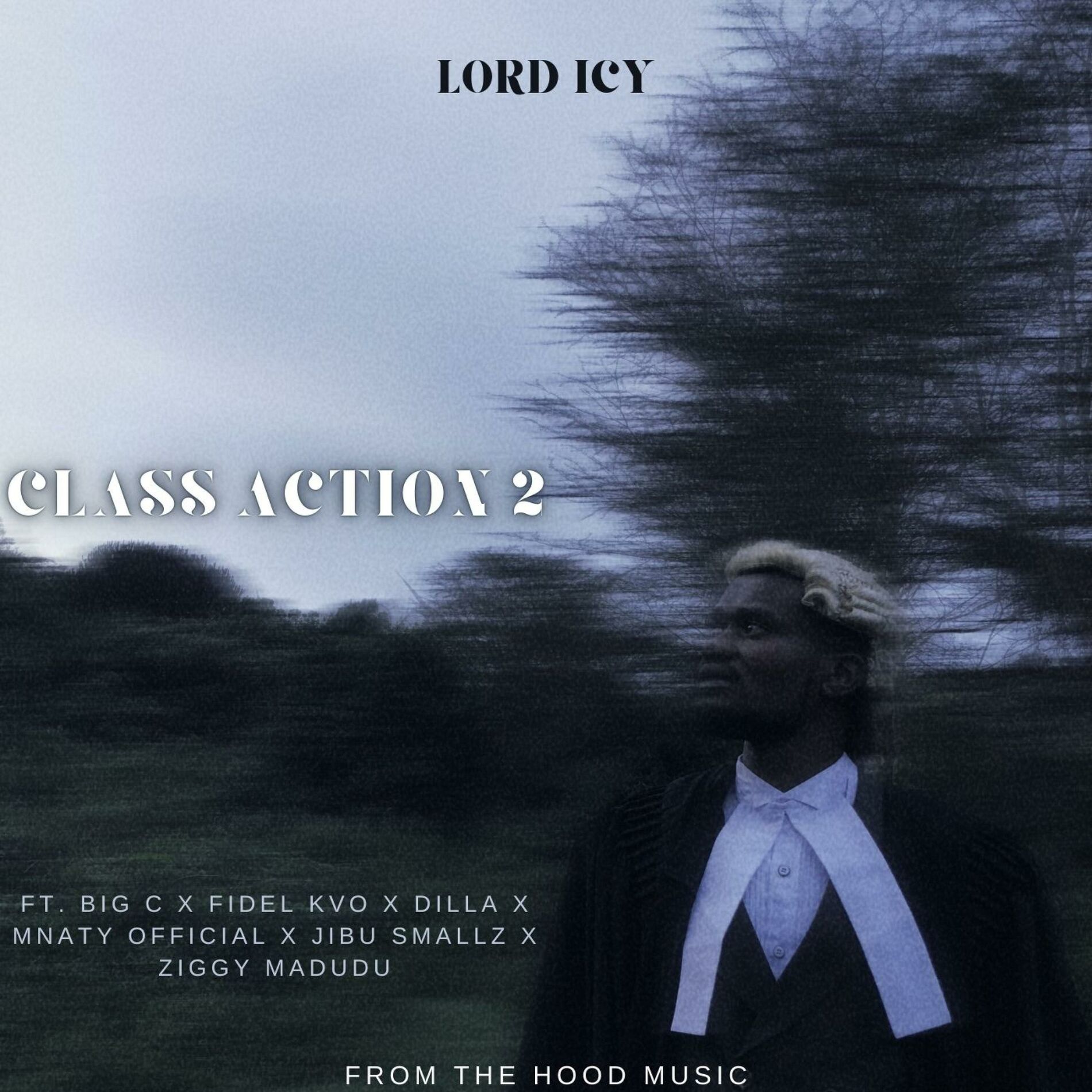 Album cover of Class Action 2 (feat. Fidel KVO, Big C, Dilla, Mnaty Official, Jibu Smallz & Ziggy Madudu)