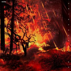 Cover of Rainforest EP