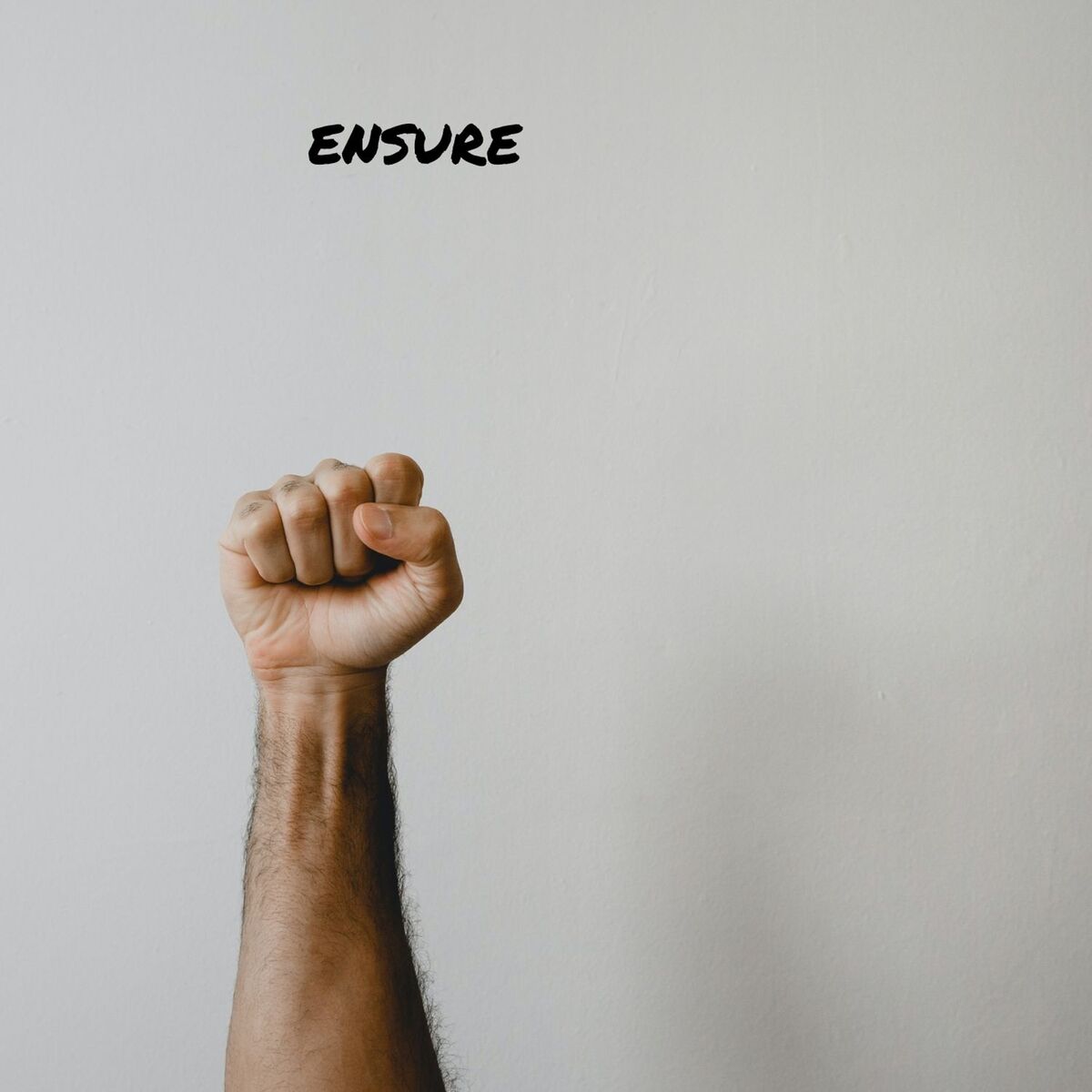 Album cover of Ensure