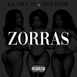 Cover of Zorras