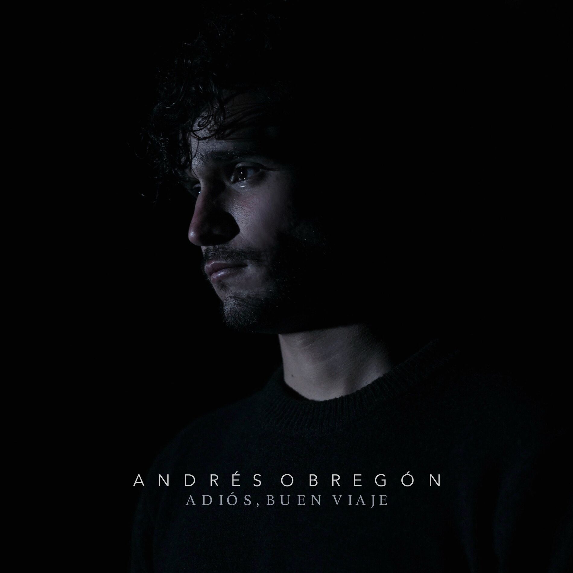 Album cover of Adiós, Buen Viaje