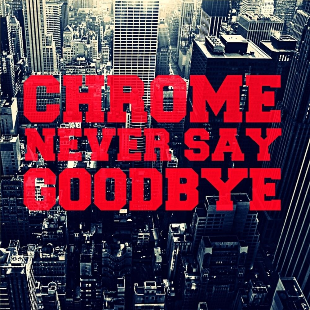 Picture of Never Say Goodbye