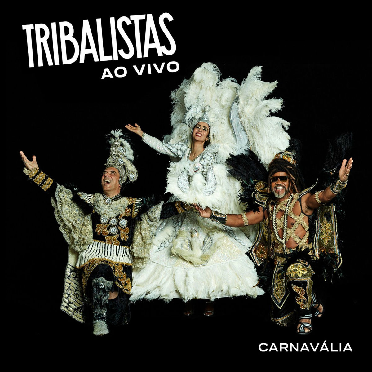 Album cover of Carnavália