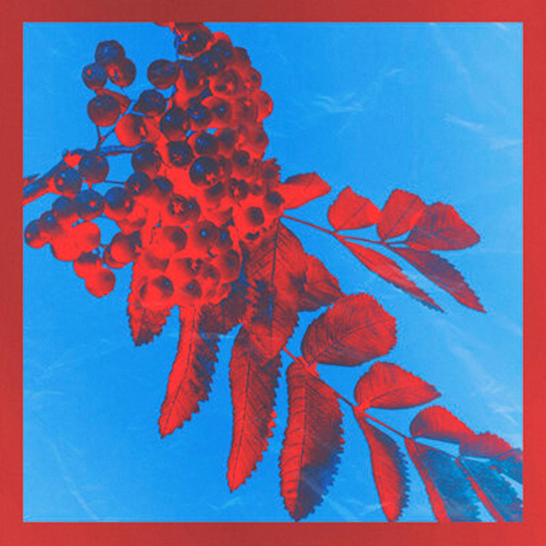 Album cover of Снегири