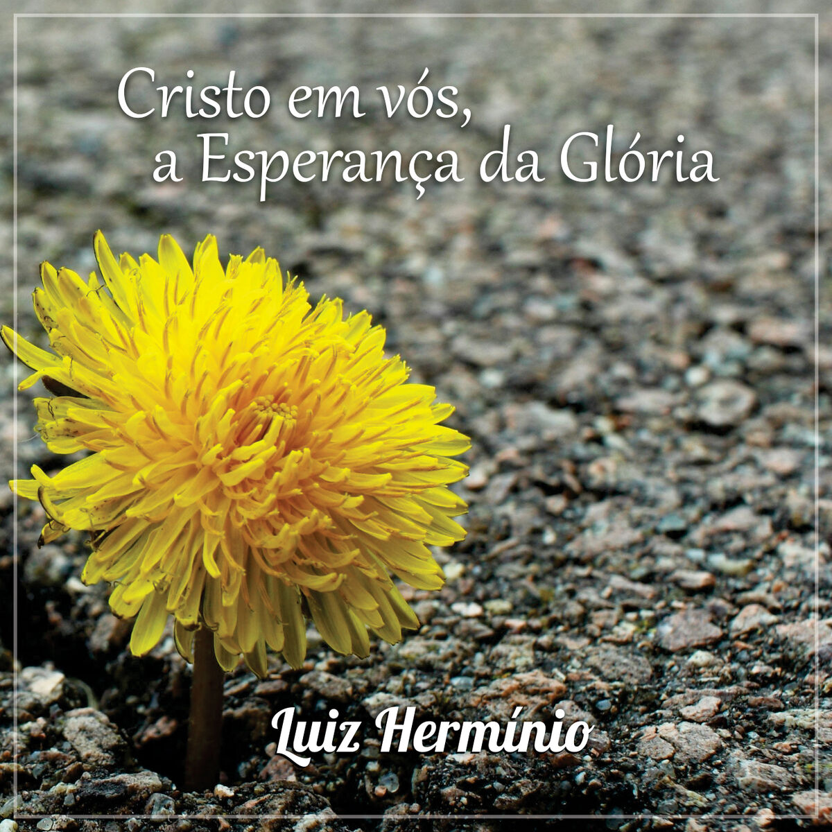 Album cover of Tudo Que Vocês Derem