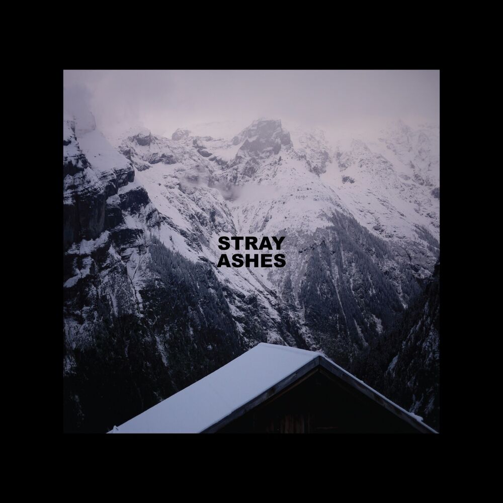 Picture of Stray Ashes