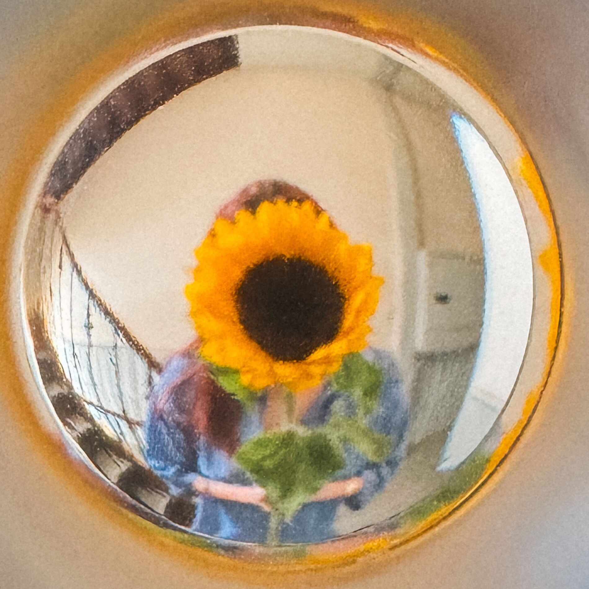 Album cover of Zu Besuch
