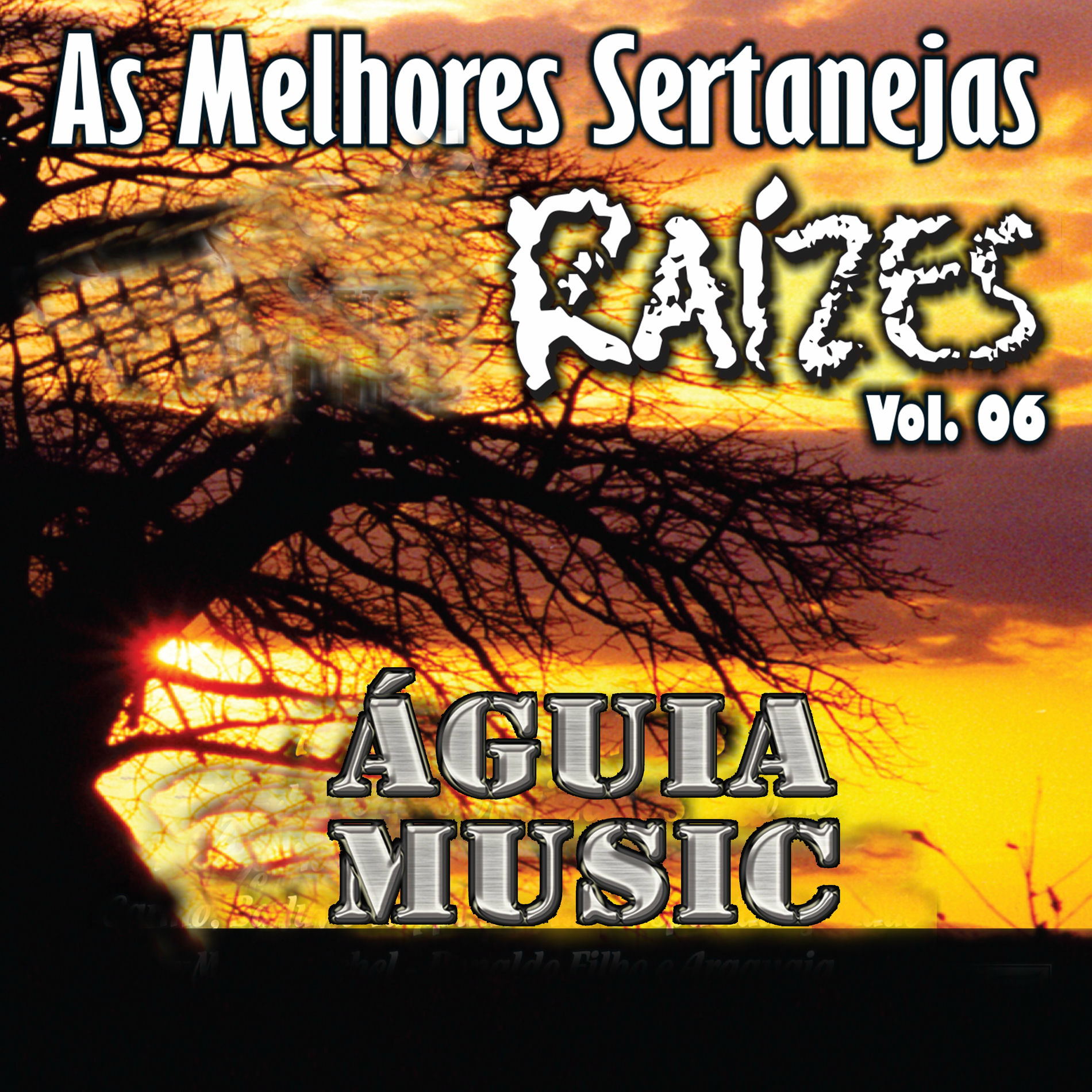 Album cover of As Melhores Sertanejas Águia Music (Raízes), Vol 6 - (Ao Vivo)