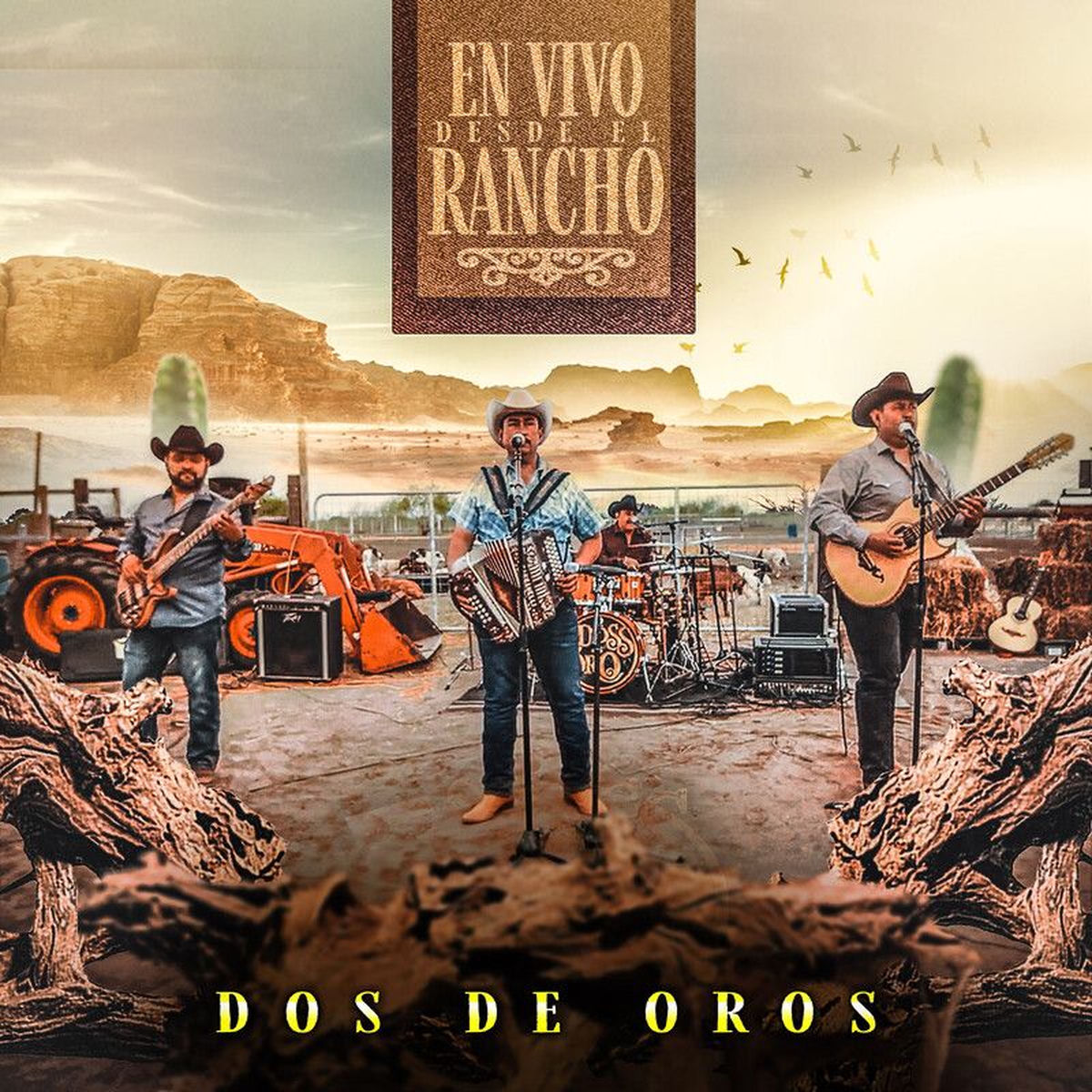Album cover of El Manicero (En Vivo)