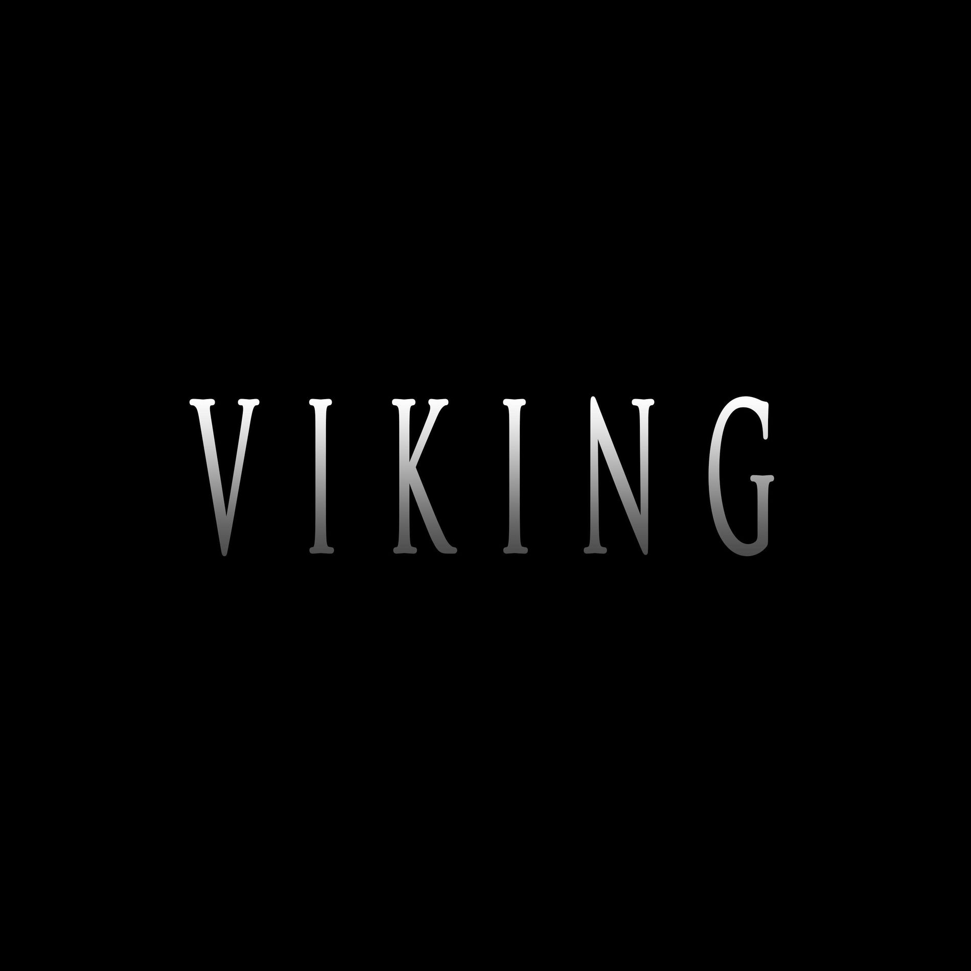Album cover of VIKING (feat. Sero Produktion Beats)