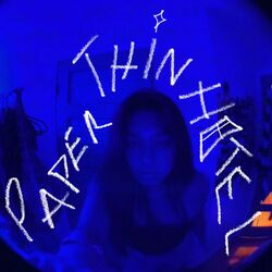 Cover of paper thin hotel