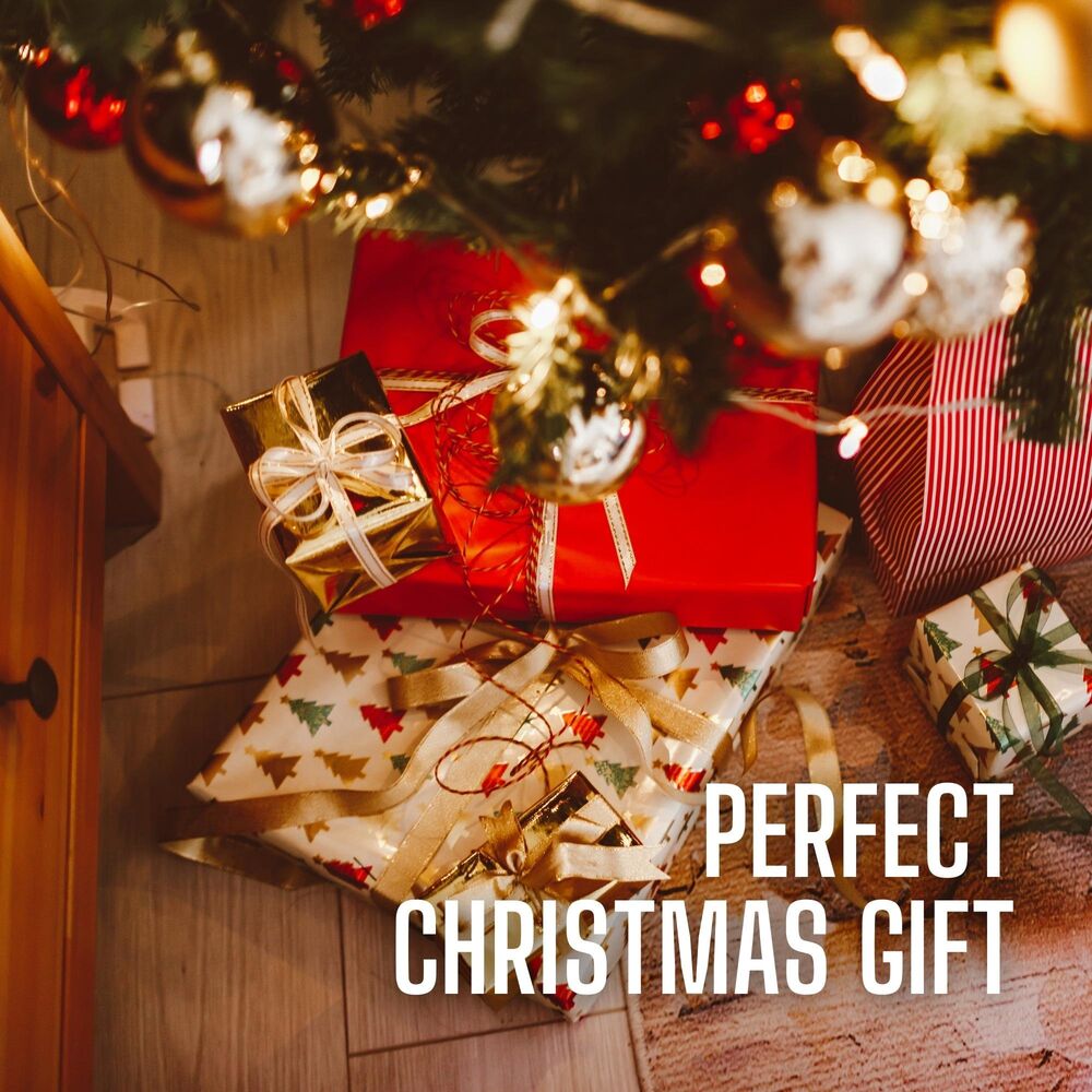 Picture of Perfect Christmas Gift