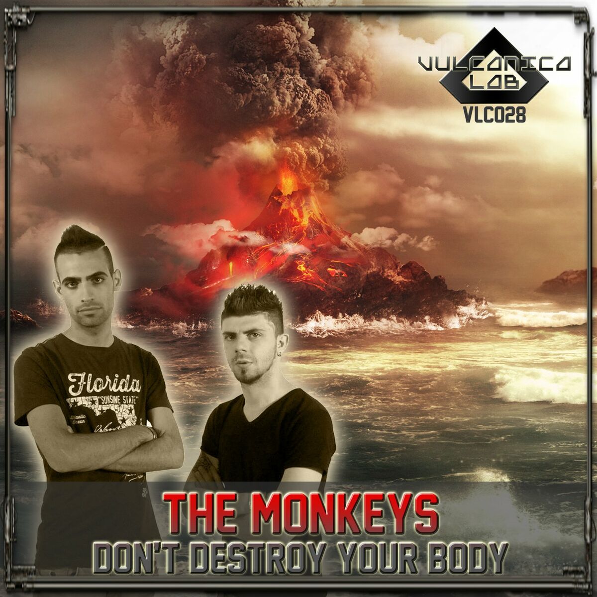 The shops Monkeys Album