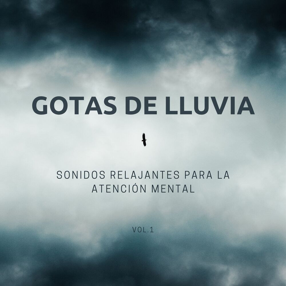 Picture of Gotas De Lluvia, Sonidos Relajantes Para La Atención Mental Vol. 1