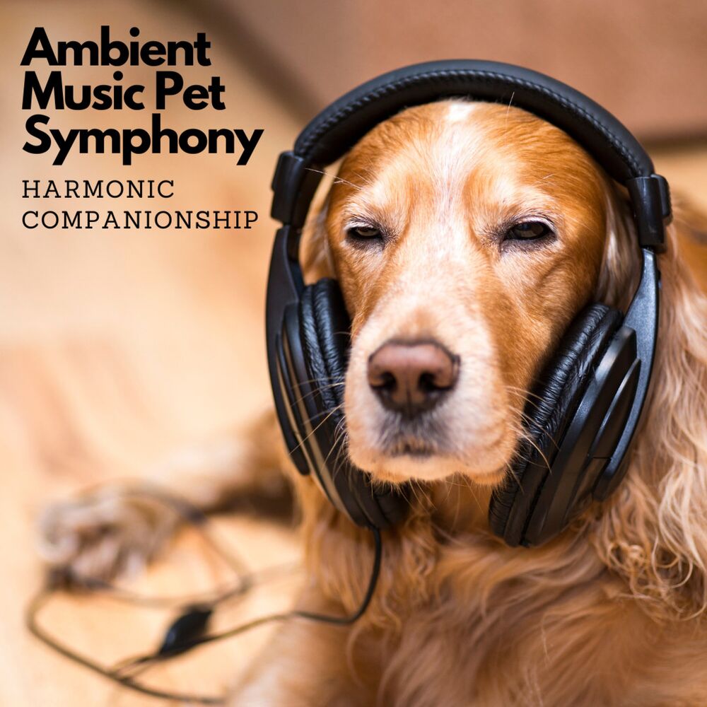 Picture of Ambient Music Pet Symphony: Harmonic Companionship
