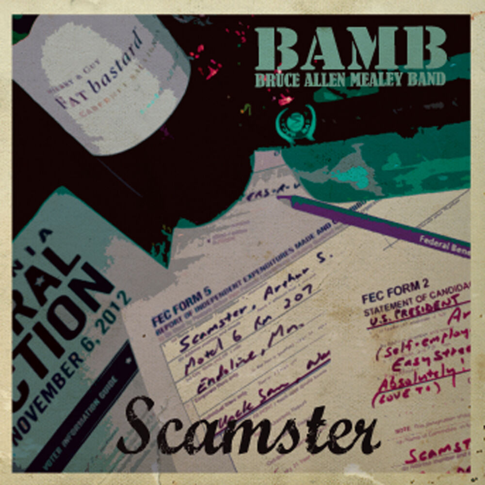Picture of Scamster