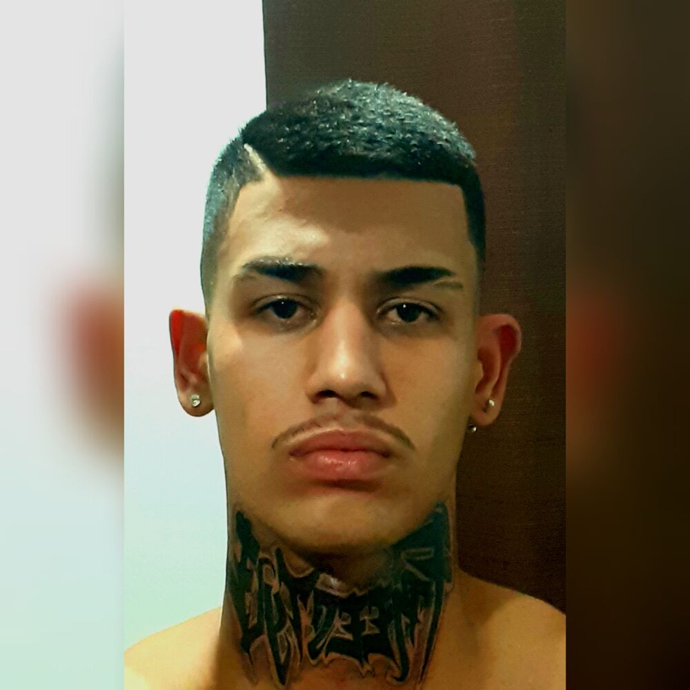 Picture of De Tralha