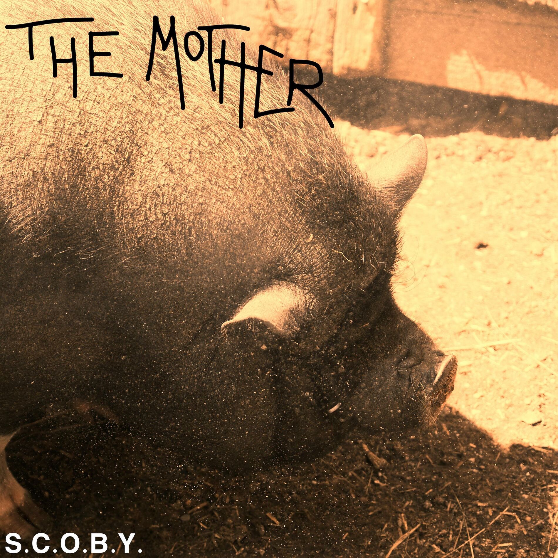 Album cover of THE MOTHER