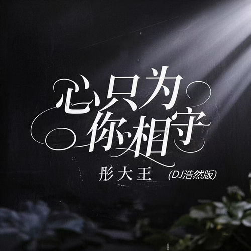 心只为你相守 (Dj浩然版)