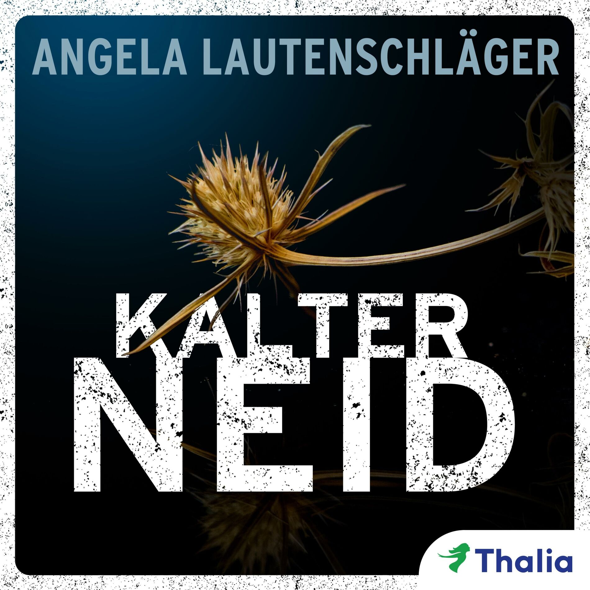 Album cover of Kalter Neid (Ein Fall für Sommer und Kampmann, Bd. 1) (Kriminalroman)