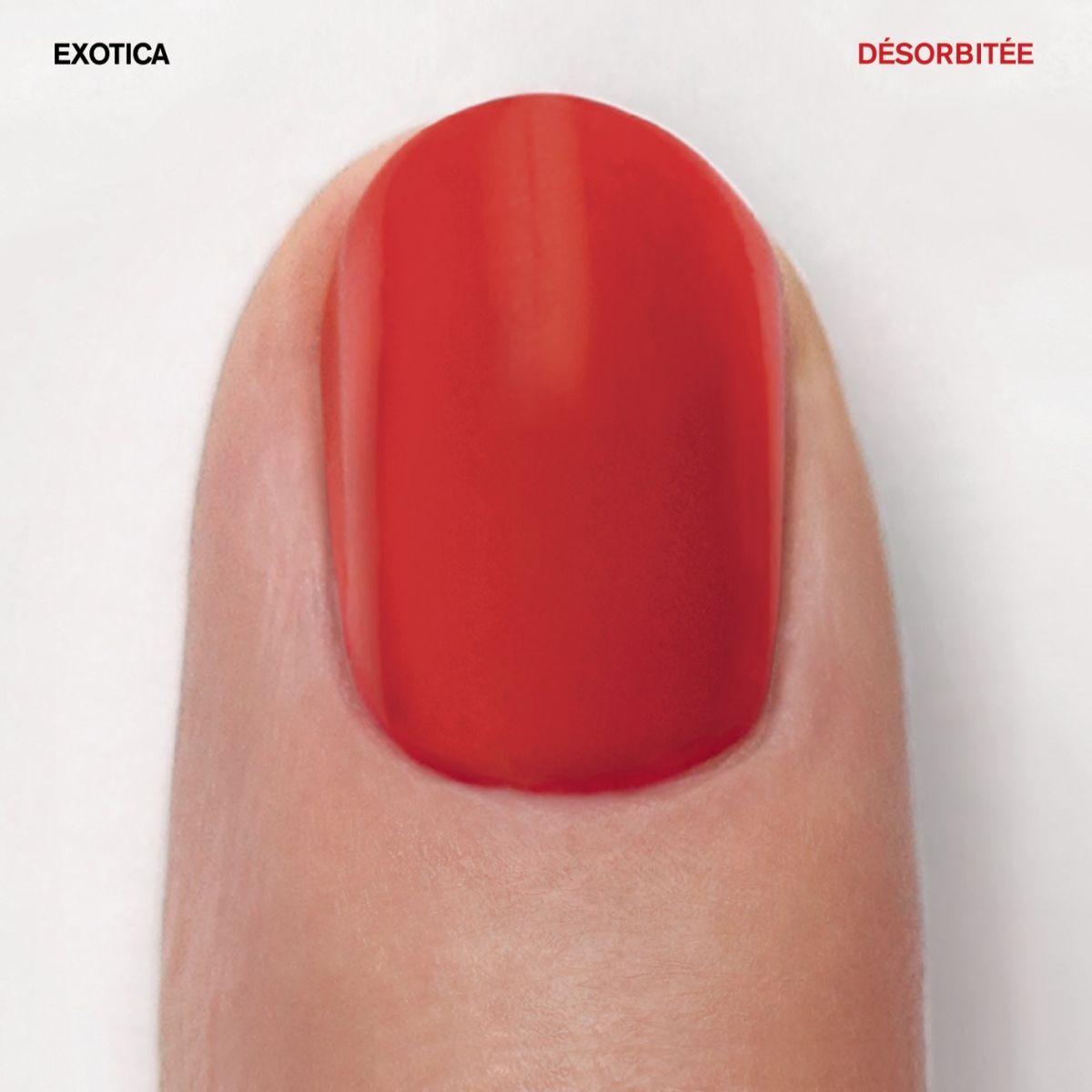 Album cover of Désorbitée