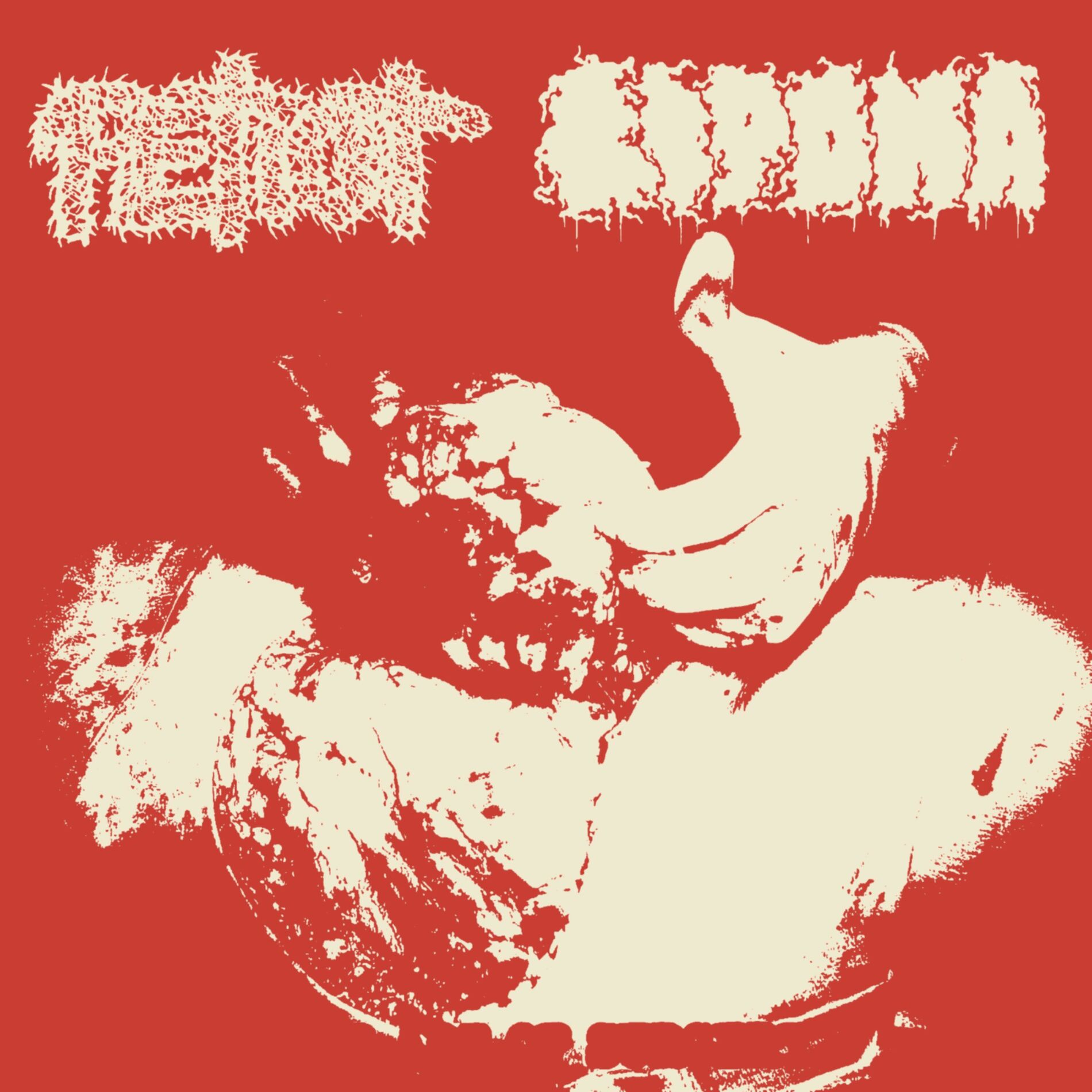 Album cover of The Art of Surgery (Split W/ Lipoma)