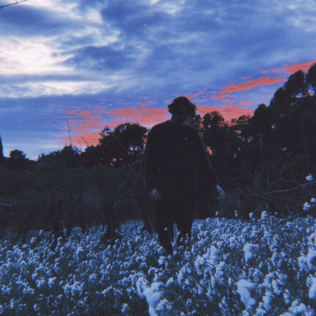 Album cover of 24'