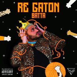 Cover of Re gaton
