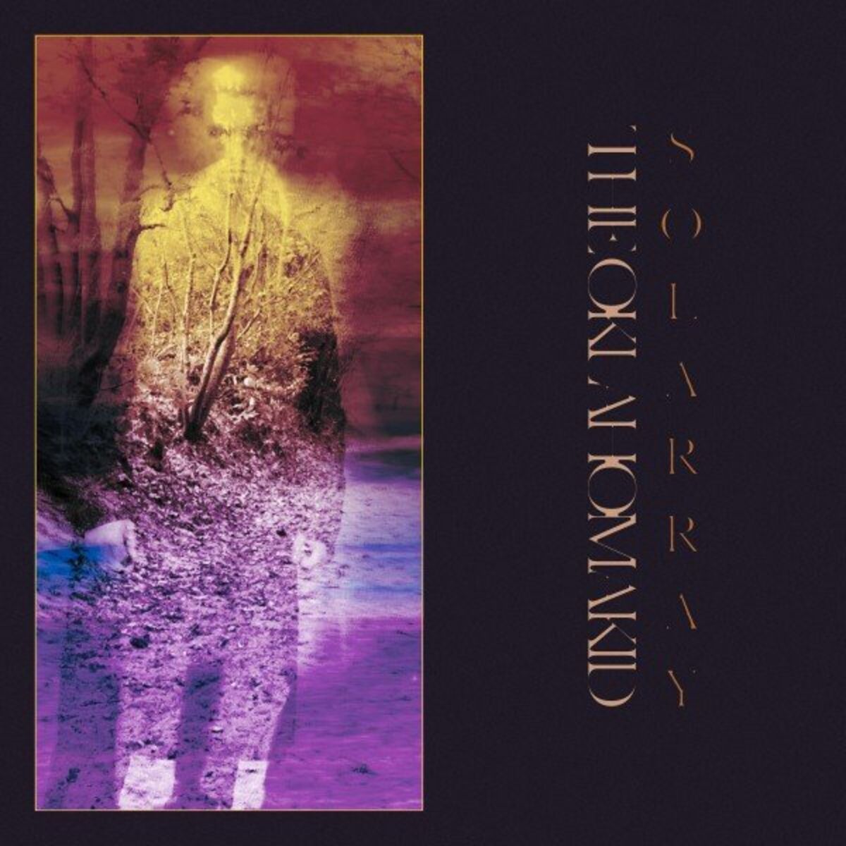 Album cover of Solarray