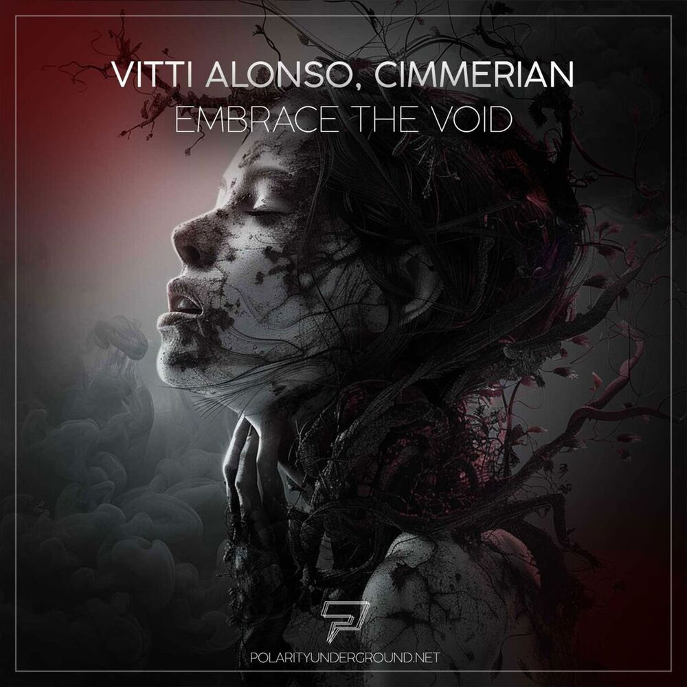 Picture of Embrace the Void
