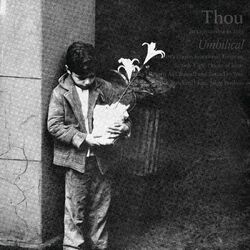 Cover of Umbilical